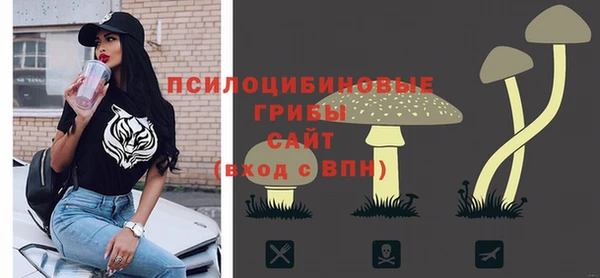 шишки Абдулино