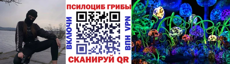 хочу   Покачи  Псилоцибиновые грибы GOLDEN TEACHER 